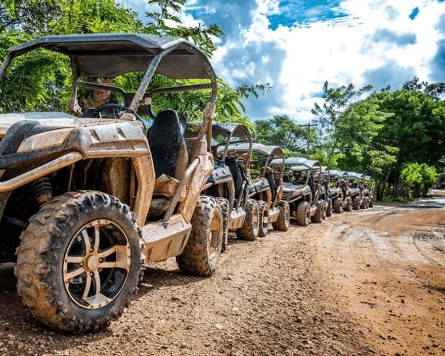 Punta Cana: Terracross Safari with Cenote Swim & Tastings
