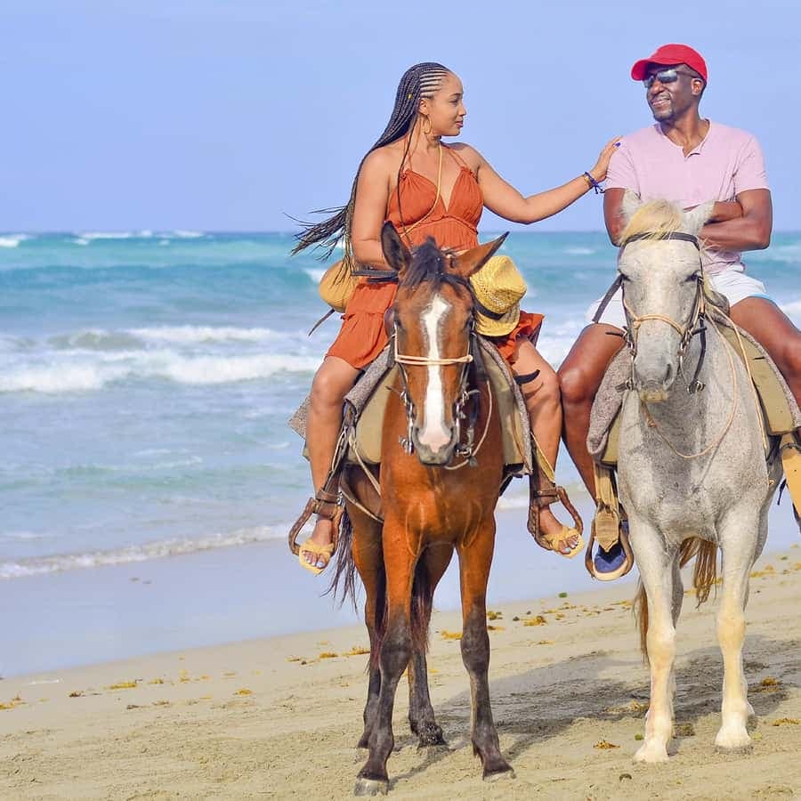 Discover the Trails of Punta Cana on a Horseback Ride