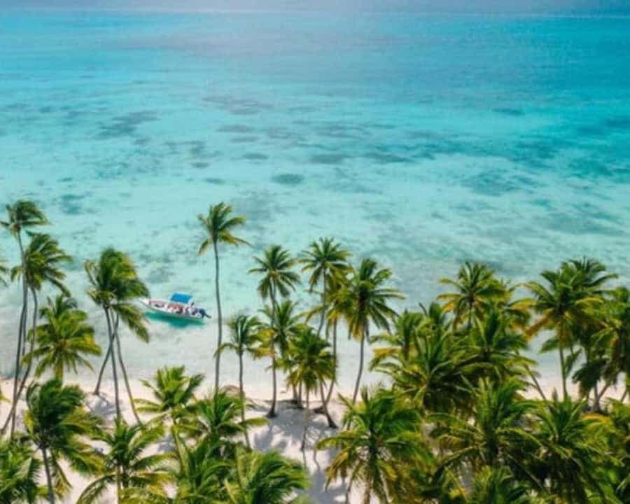Catamaran Cruise on Saona Island with Lunch and Drinks