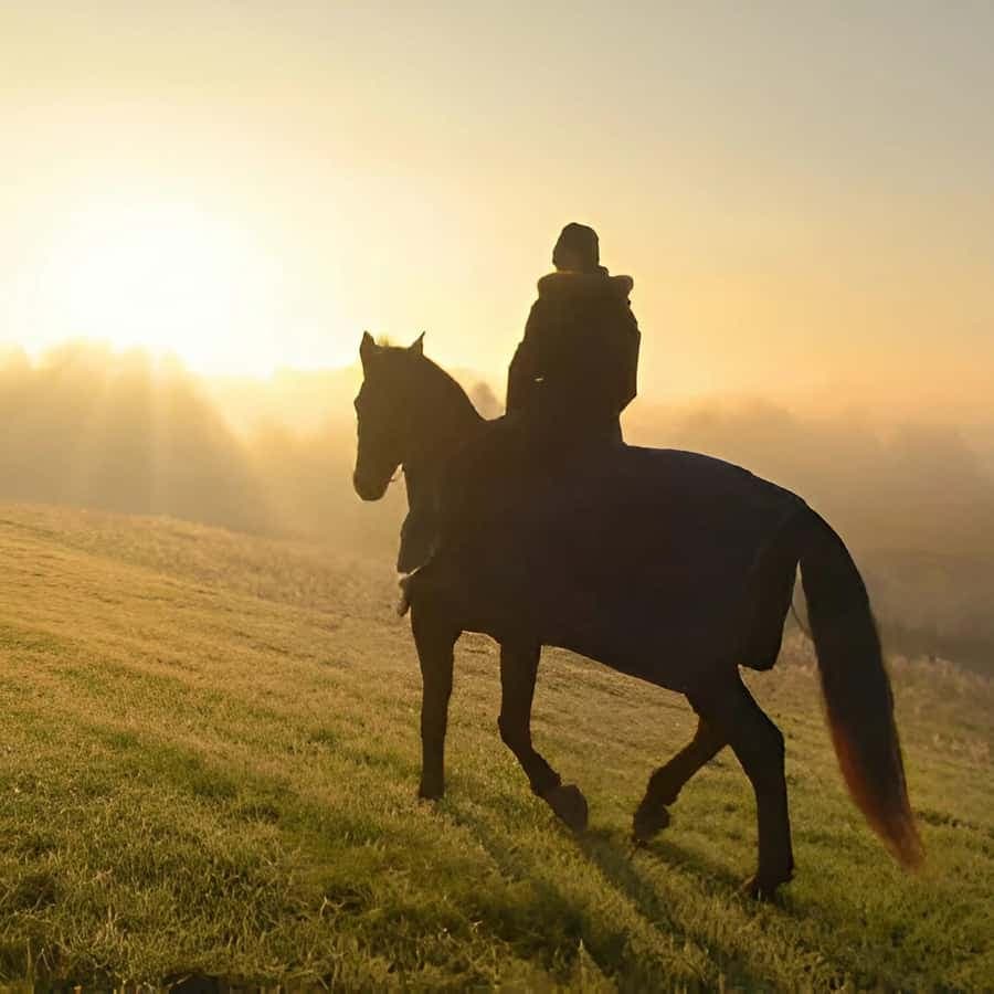 Punta Cana: Sunset Horseback Ride in Macao Beach and Forest