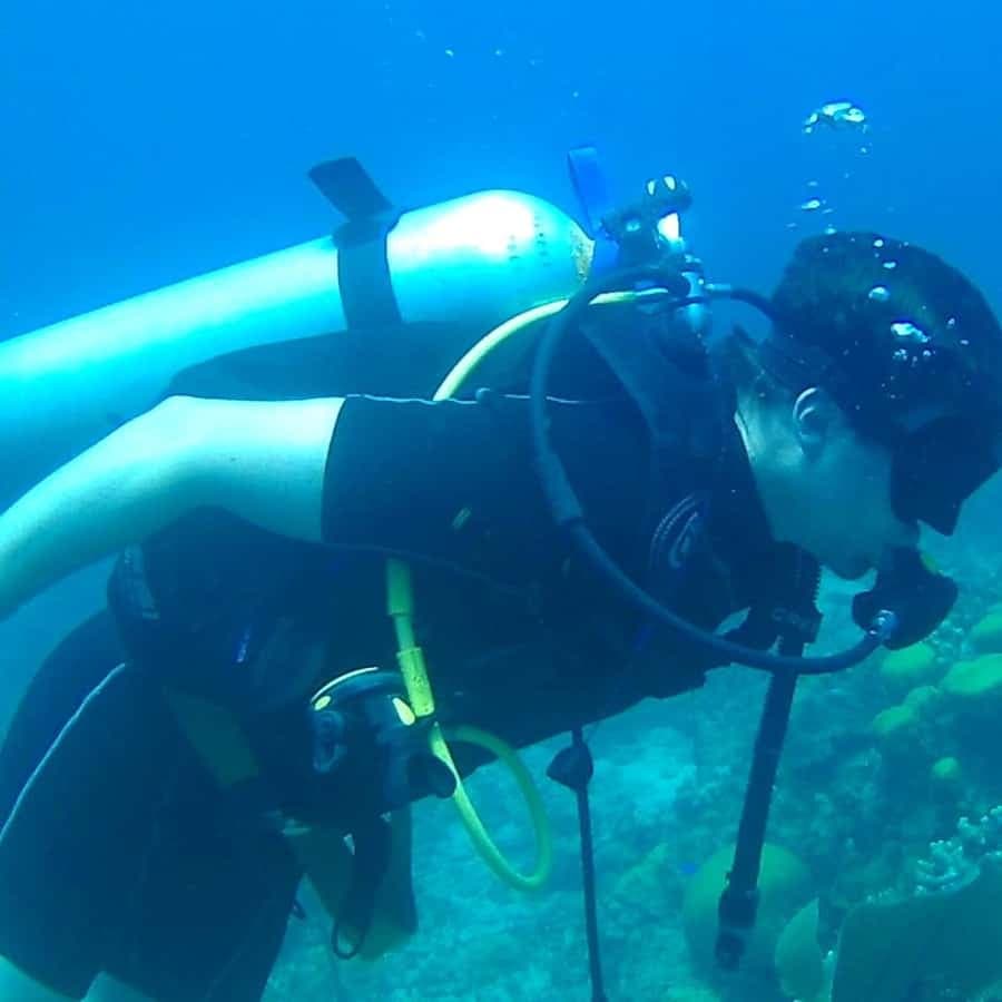 Scuba Diving in Catalina Island