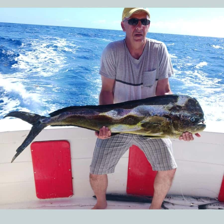4 hour deep sea fishing experience from punta cana