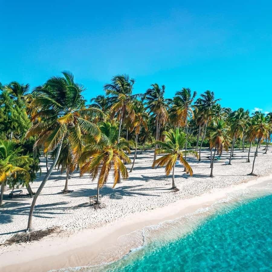 Punta Cana: Saona Island Full-Day Tour with Lunch