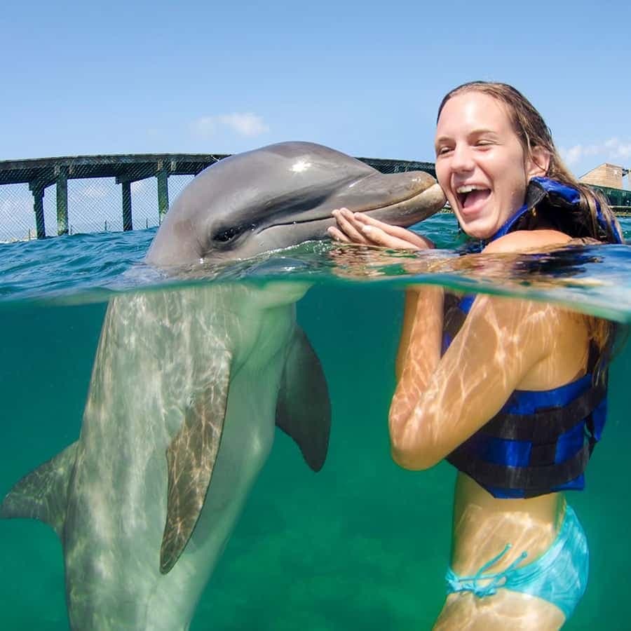 Punta Cana Dolphin Adventure: 40-Minute Interaction