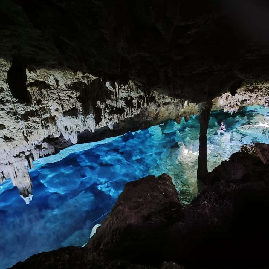 Bayahibe: National Park Jungle Walk & Snorkeling in Cenotes