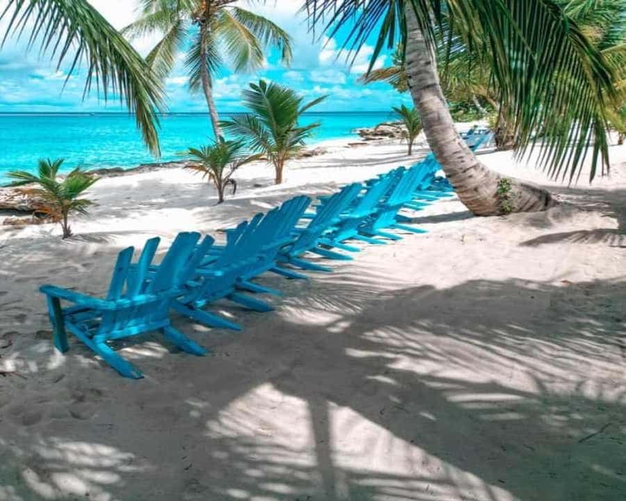 Carnevial Shore Excursion: Saona Island with Speedboat Ride