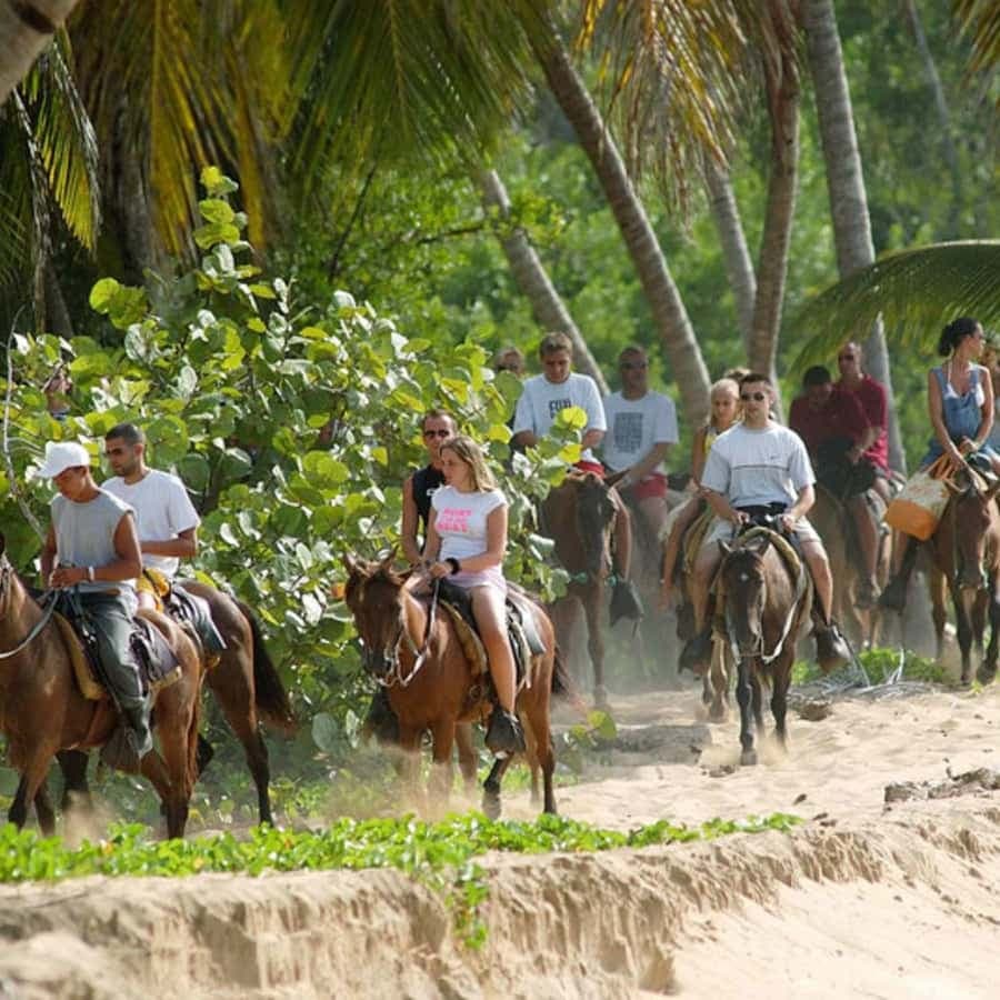 Samana, Ballenas, Cayo Levantado, Horseback Riding