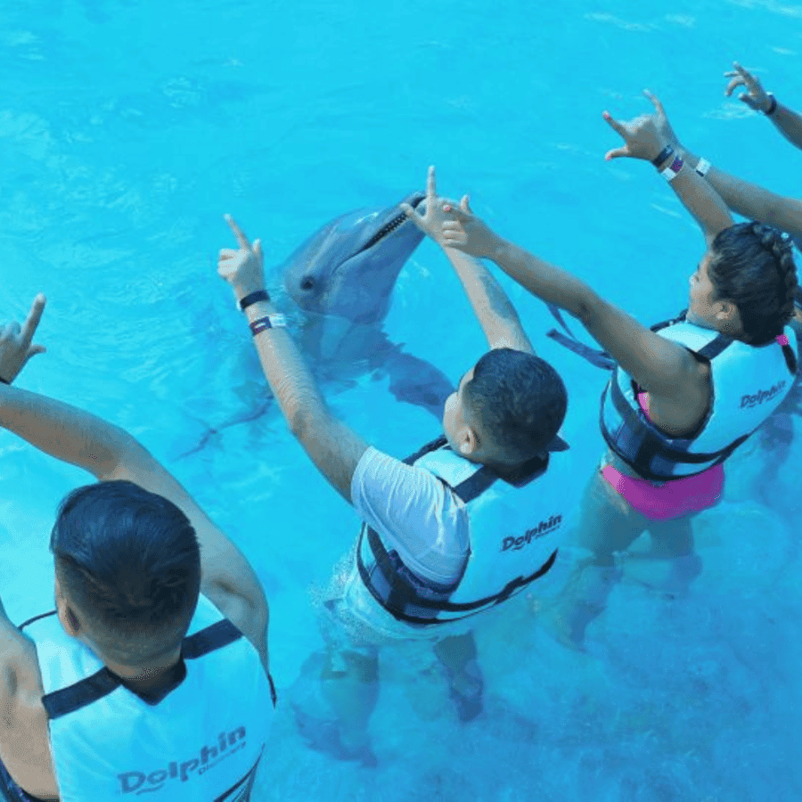 Punta Cana: Dolphin Explorer Park Entry, Swim, or Encounter