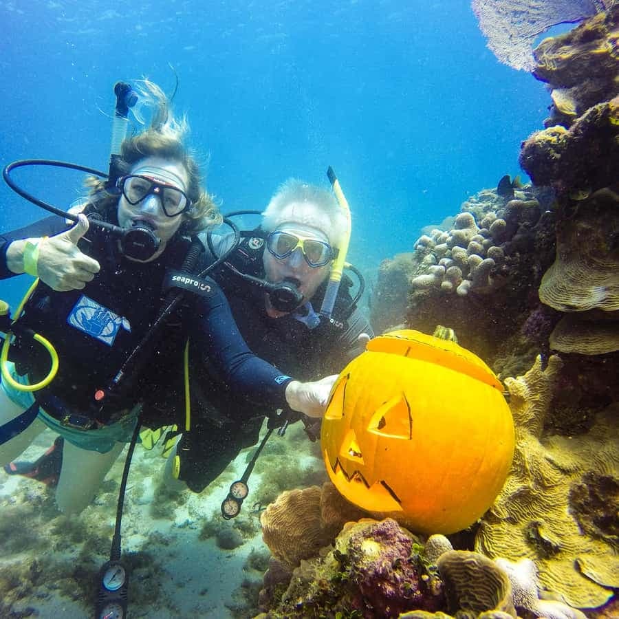 Punta Cana: Scuba Diving Adventure to Catalina Island