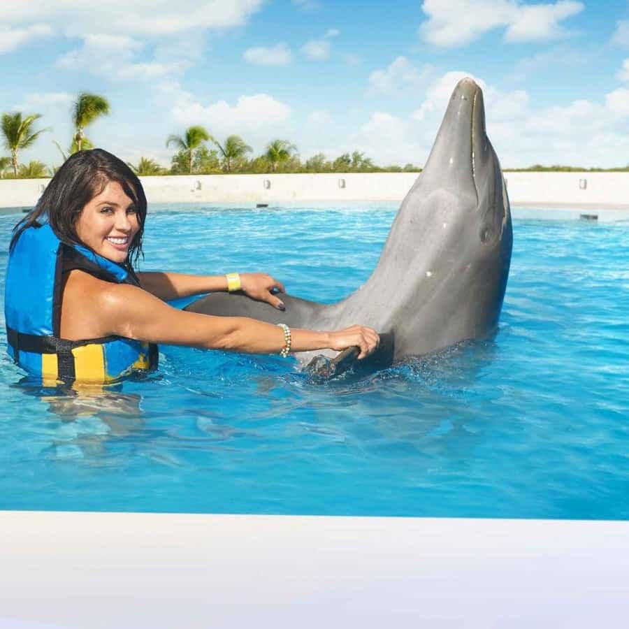 Punta Cana: Dolphin Discovery Park with Hotel Transfers