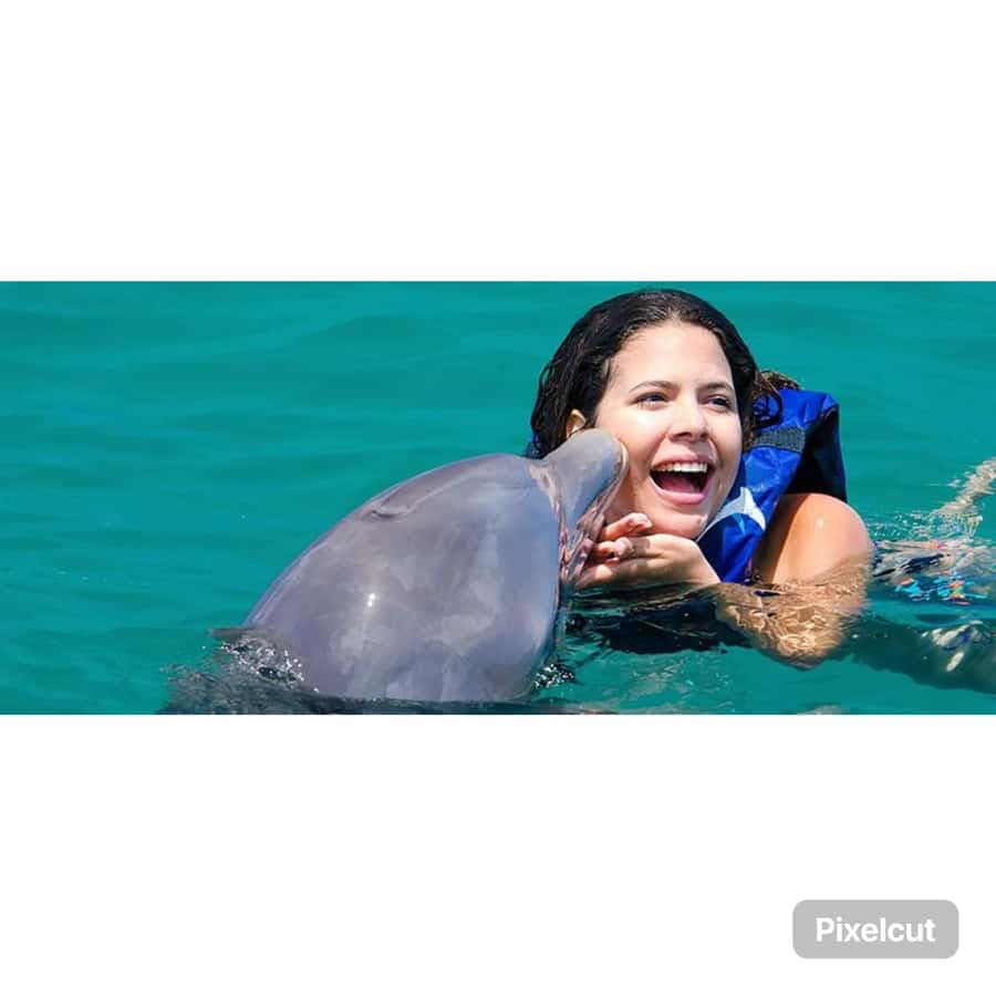 Punta Cana: Dolphin Park Entry and Swim with Dolphins