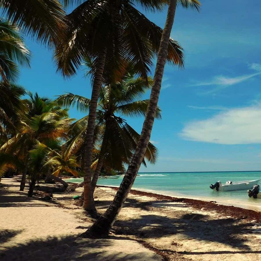 Juan Dolio: Saona Island Full-Day Tour with Catamaran Ride
