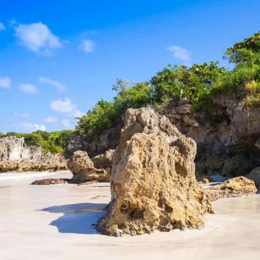 Punta Cana: Buggy Tour with Macao Beach Visit