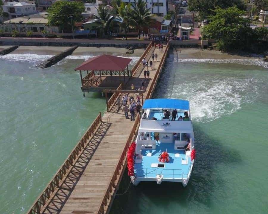 From Punta Cana: Whale Watching and Montana Redonda Tour