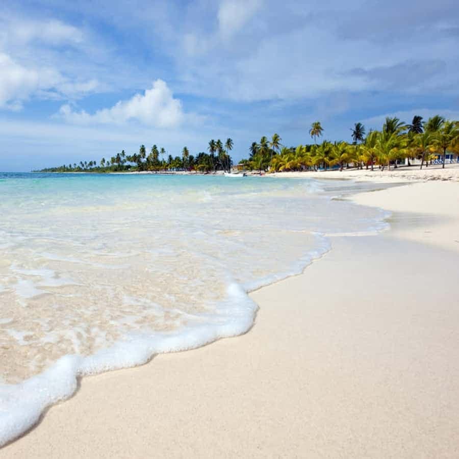 From Santo Domingo: Saona Island Day Trip with Lunch