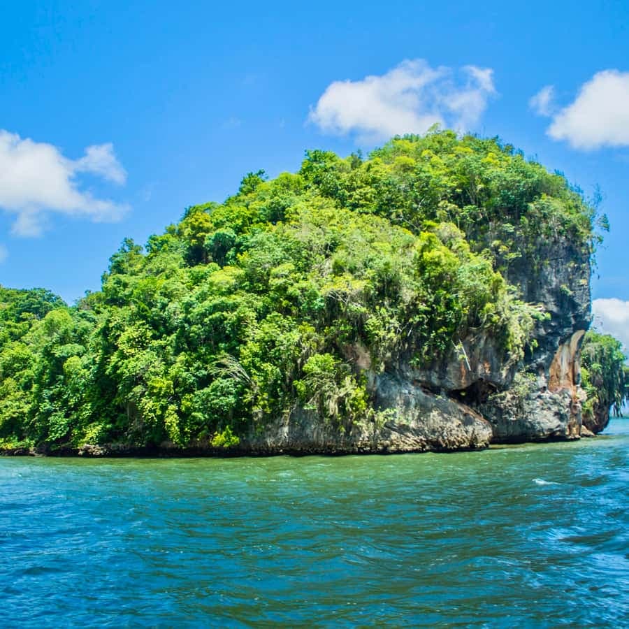 Punta Cana Los Haitises Park, Yanigua Waterfall, & Montaña Redonda Tour