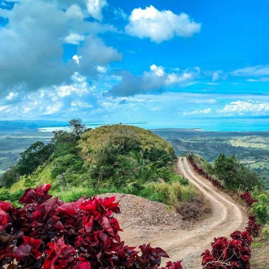 Sabana de la Mar: Los Haitises, Waterfalls & Mountain Tour