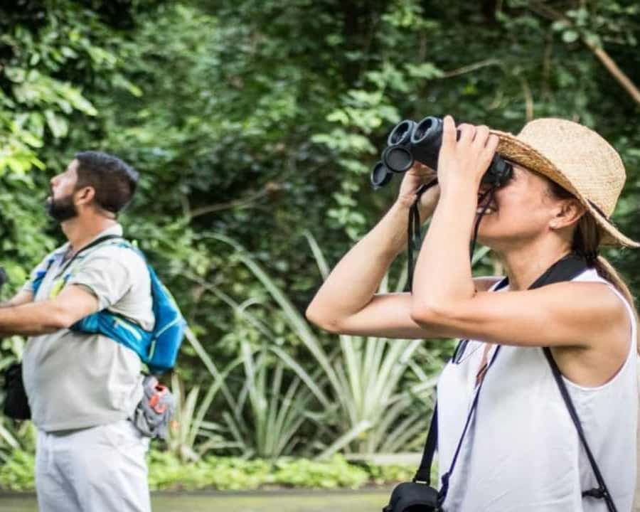 Bayahibe: Birdwatching Tour with Guide