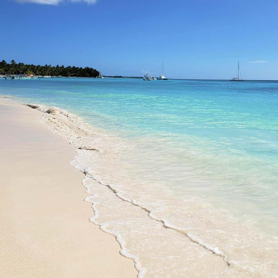 Punta Cana: Saona Island a different Day Trip with Open Bar