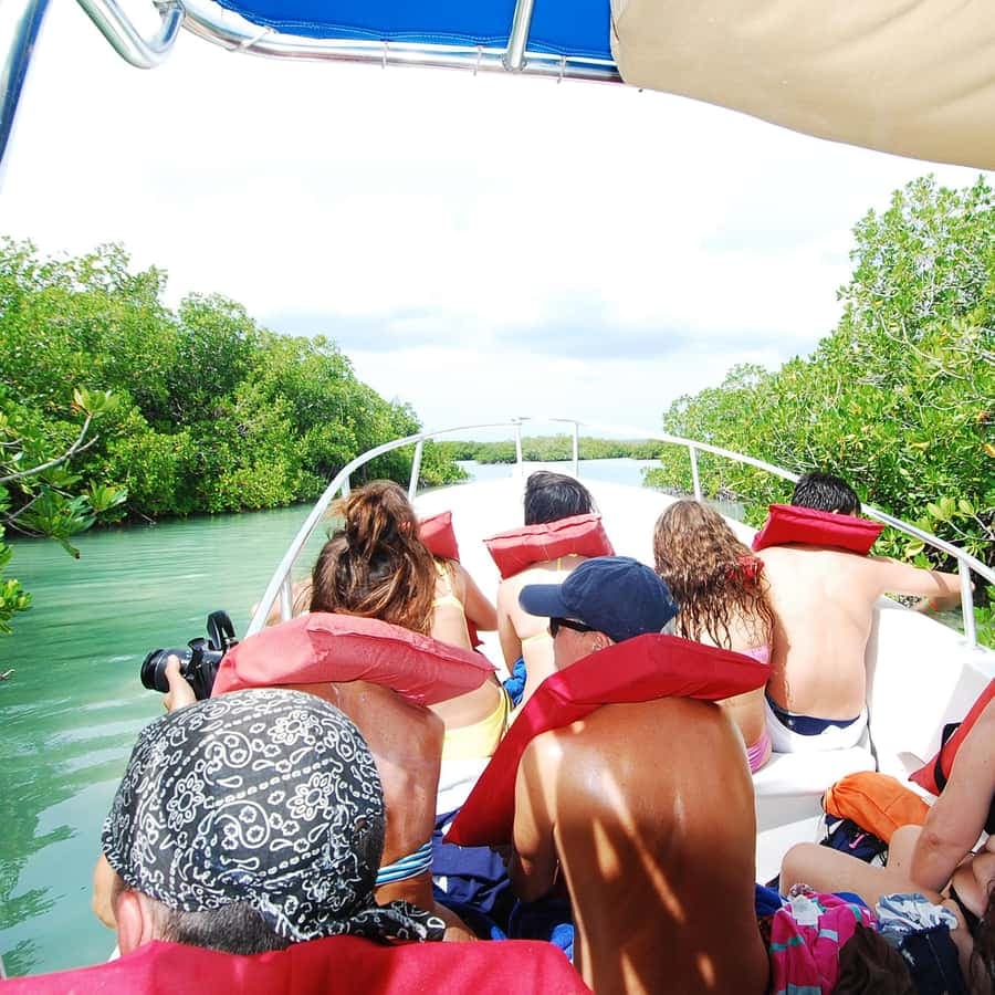 Isla Saona Wildlife Safari: Your All-Inclusive Escape