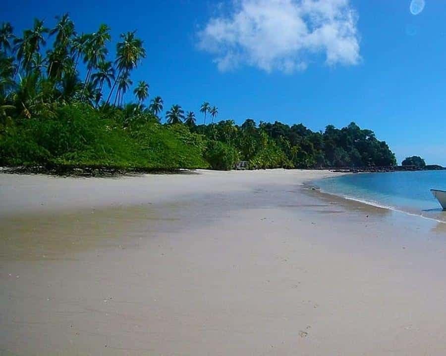 Punta Cana: Catalina Island Scuba Diving Day Trip