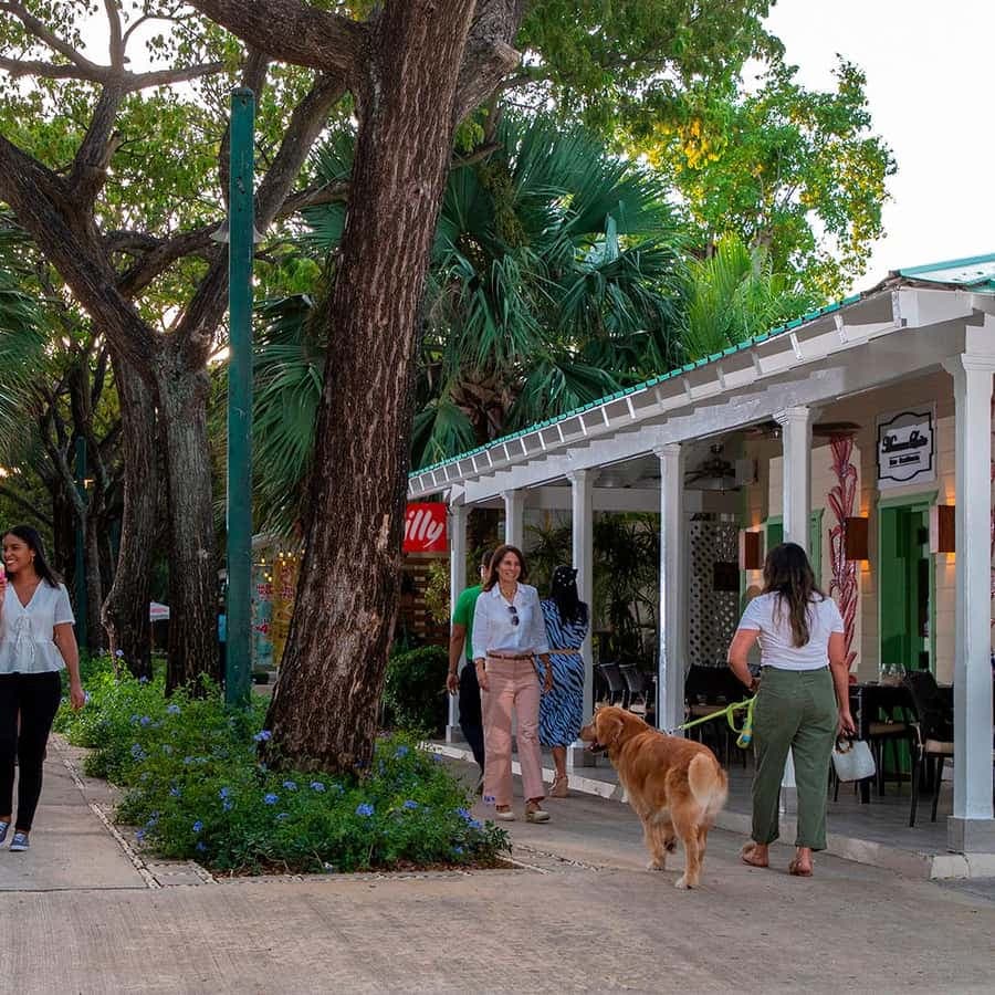 Punta Cana: Shopping Tour with Hotel Pickup and Drop-Off