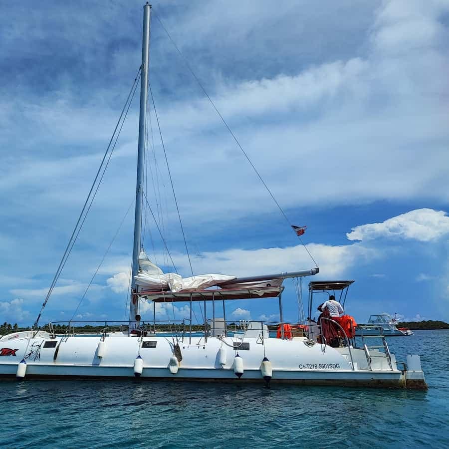 Catalina Island snorkeling: by Catamaran All inclusive