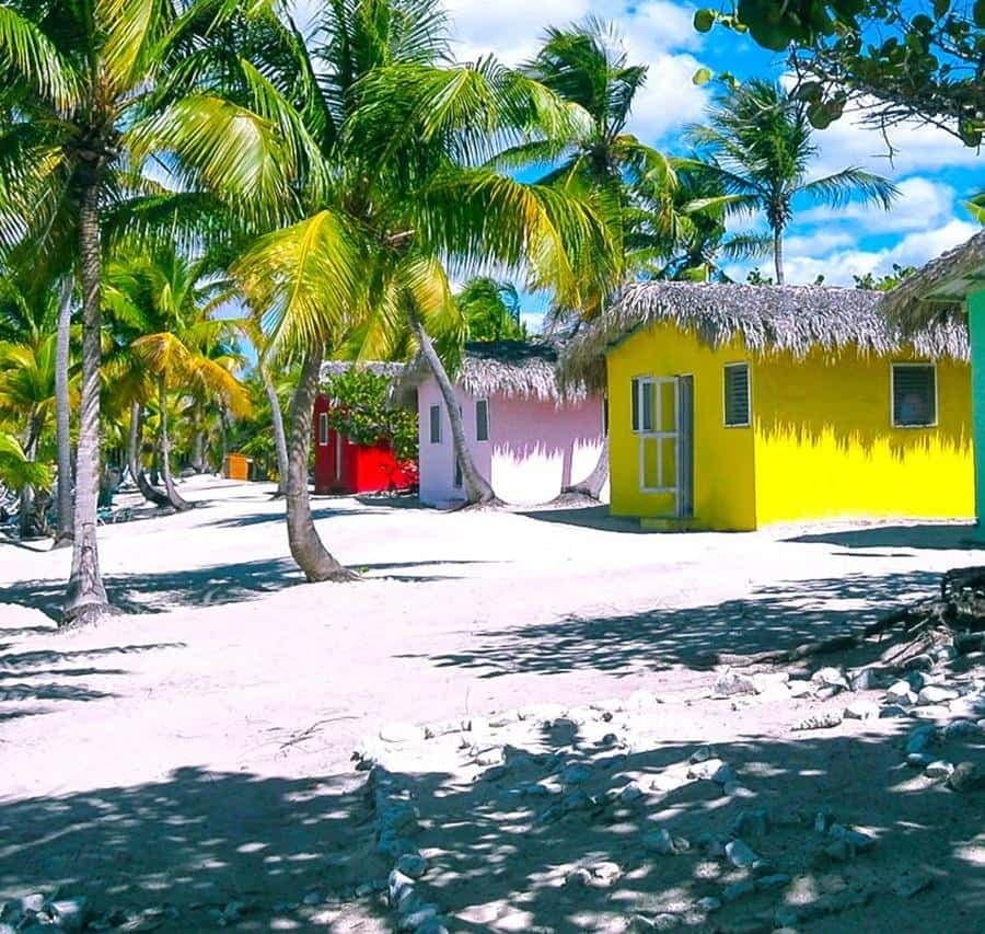 Punta Cana or La Romana: Catalina Island Tour and Snorkeling