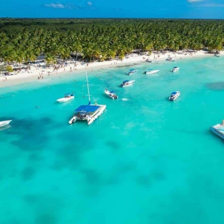 Punta Cana: Saona Island for hotel pick-up for groups
