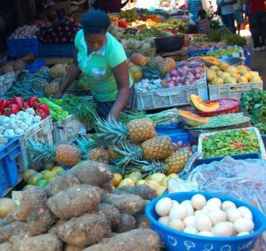 Half-day cultural safari to Higüey with lunch