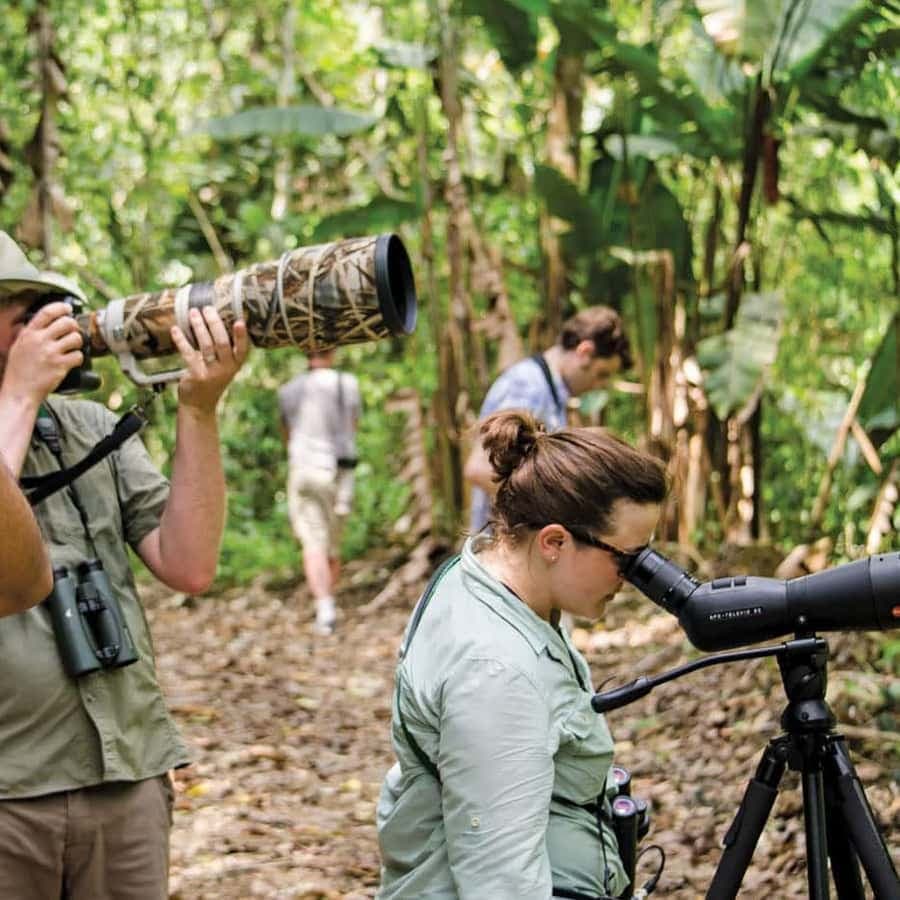 La Romana: Bird Watching From Casa de Campo