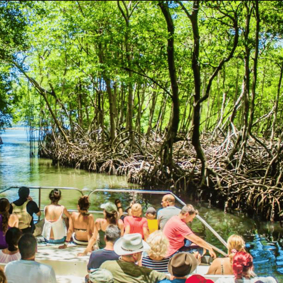 Punta Cana: Los Haitises National Park Full-Day Tour