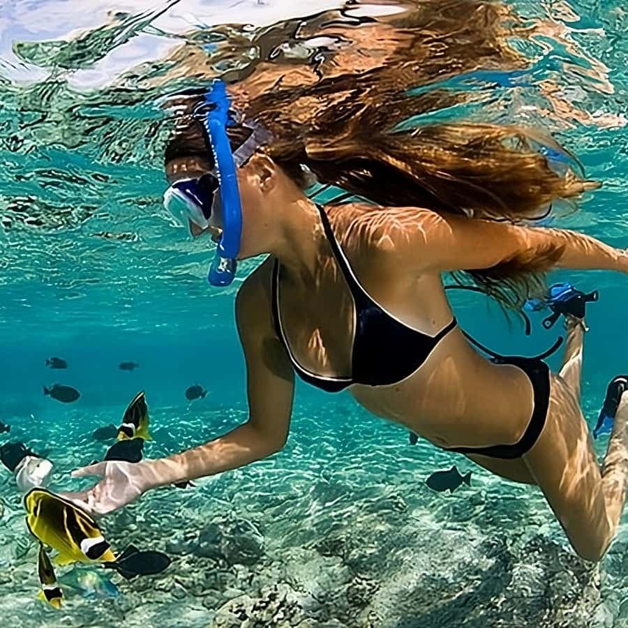Catalina Island Full-Day Snorkeling + Lunch from Punta Cana