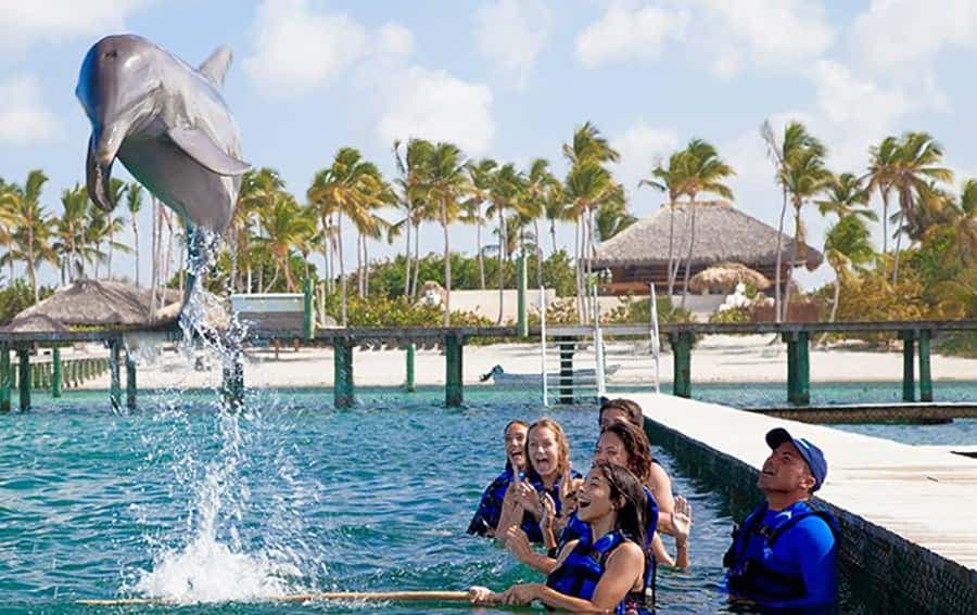 Punta Cana Dolphin Experience: 50 Minutes of Water Fun