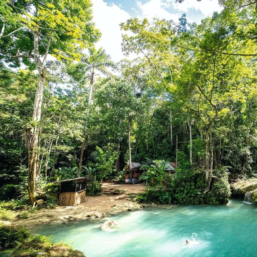 Ochos Rios: Full Day Dunn's River and Blue Hole with Lunch