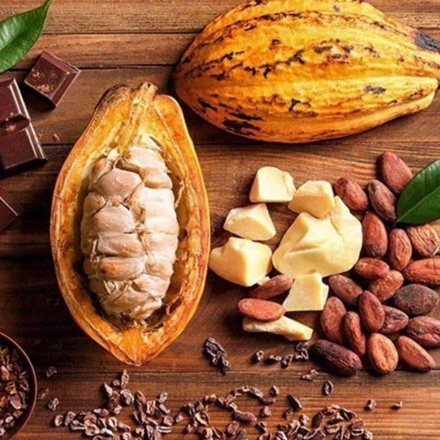 Punta Cana: Cultural Tour with Coffee Tasting, Cocoa & Lunch