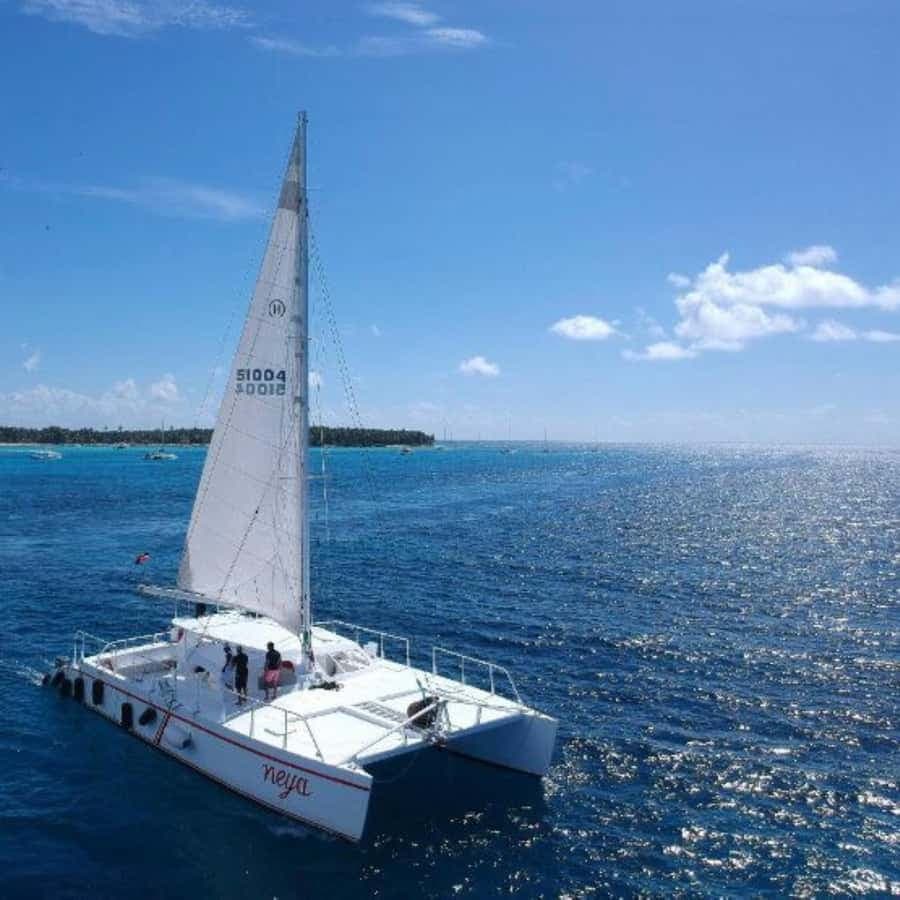 experience saona island from punta cana