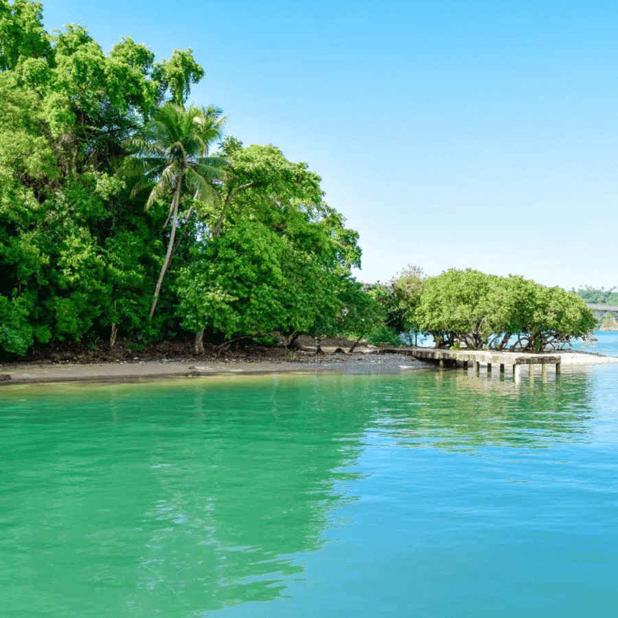 Punta Cana: Samana Cayo Levantado & Limón Waterfall