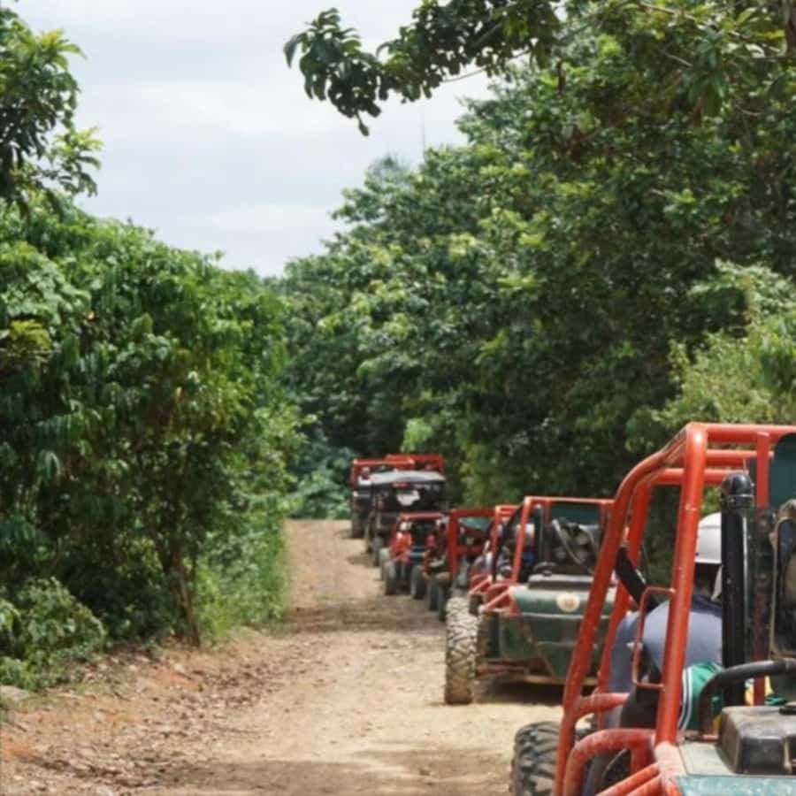 From Punta Cana or La Romana: Sugarcane Fields Buggy or Quad