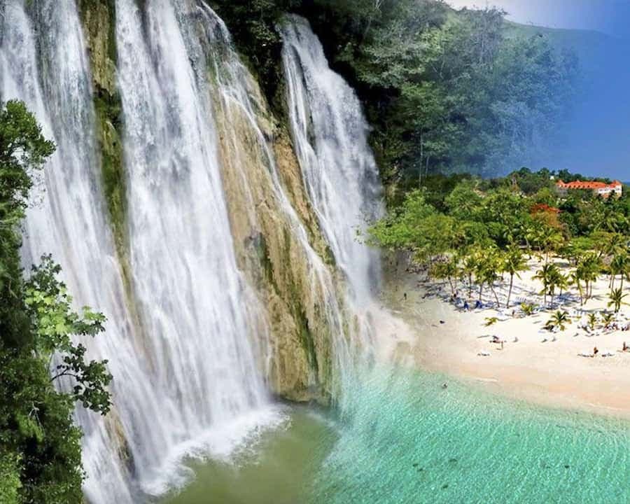 Samana Whale watching and Bacardi Island from Punta Cana
