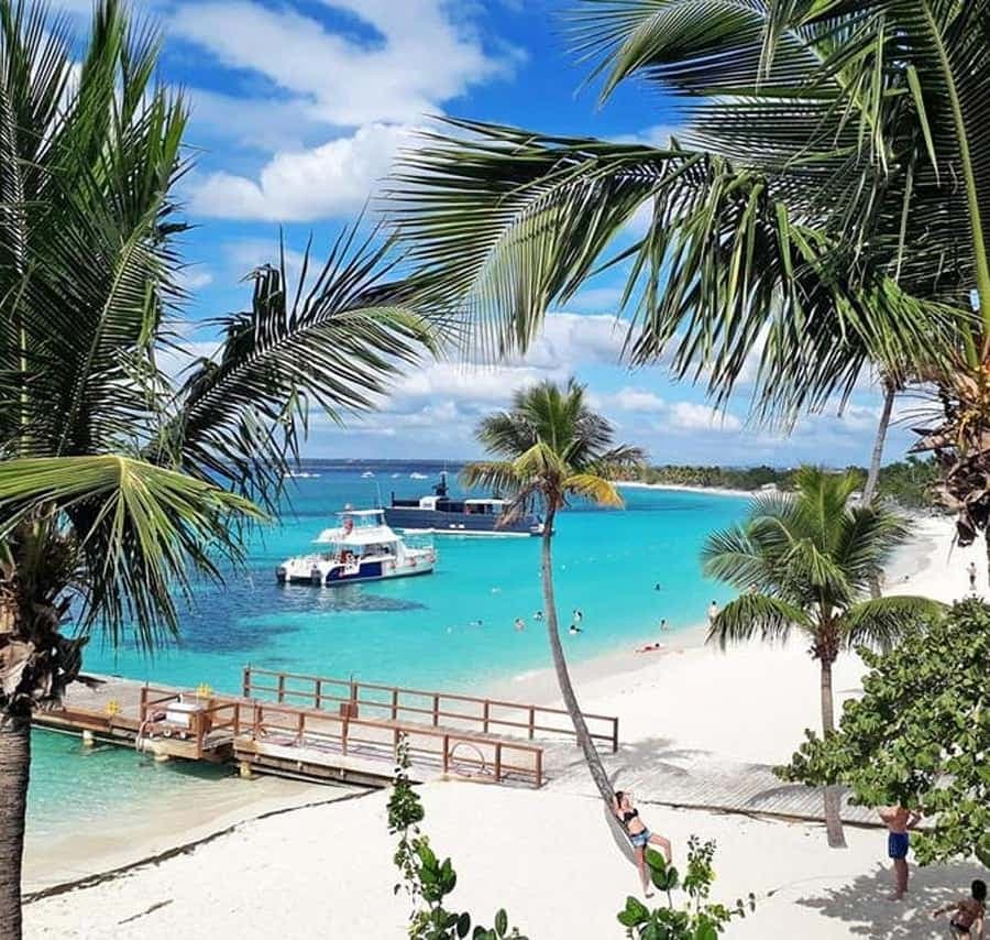Punta Cana: Catalina Island Scuba Diving Day Trip