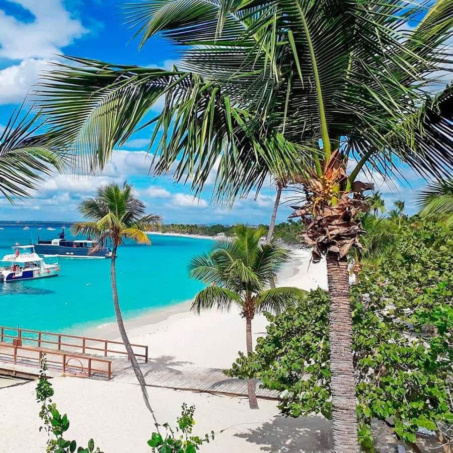 Punta Cana: Catalina Island Snorkeling Trip with Lunch