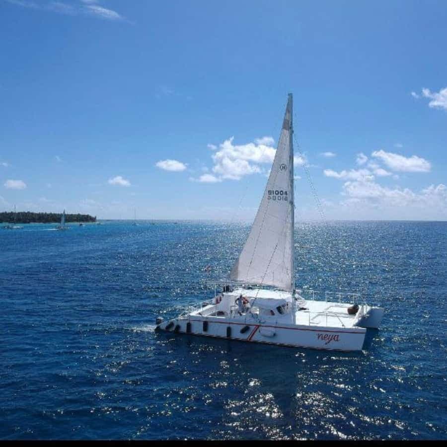 experience saona island from punta cana