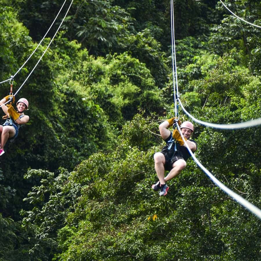 Punta Cana: Ziplines Adventures & Monkeyland Entry
