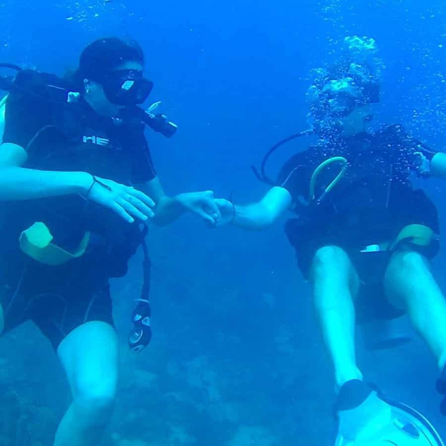 Scuba Diving in Catalina Island