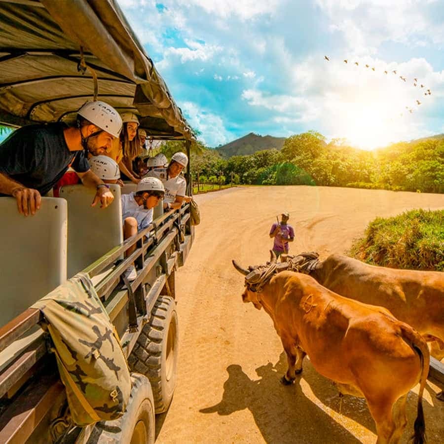 Punta Cana Cultural Tour History and Traditions Small Group