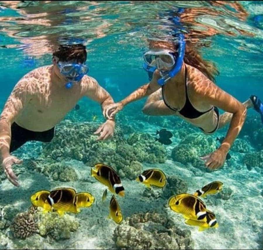 Speedboat Adventure and Snorkeling from Punta Cana