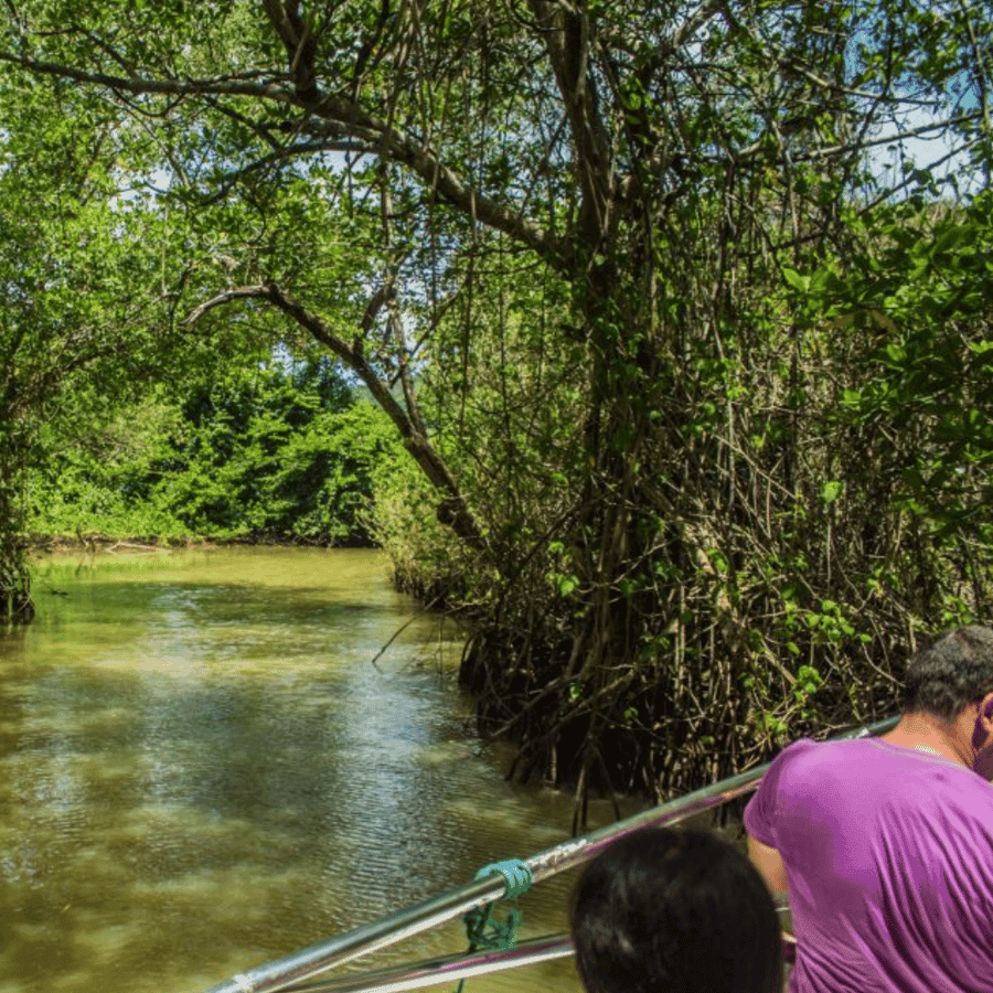 Punta Cana: 2-Day Saona Island and Los Haitises Adventure
