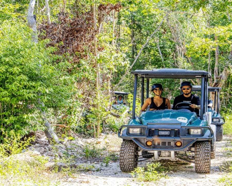 Punta Cana: Art and Forest Way Full-Day Tour with Lunch