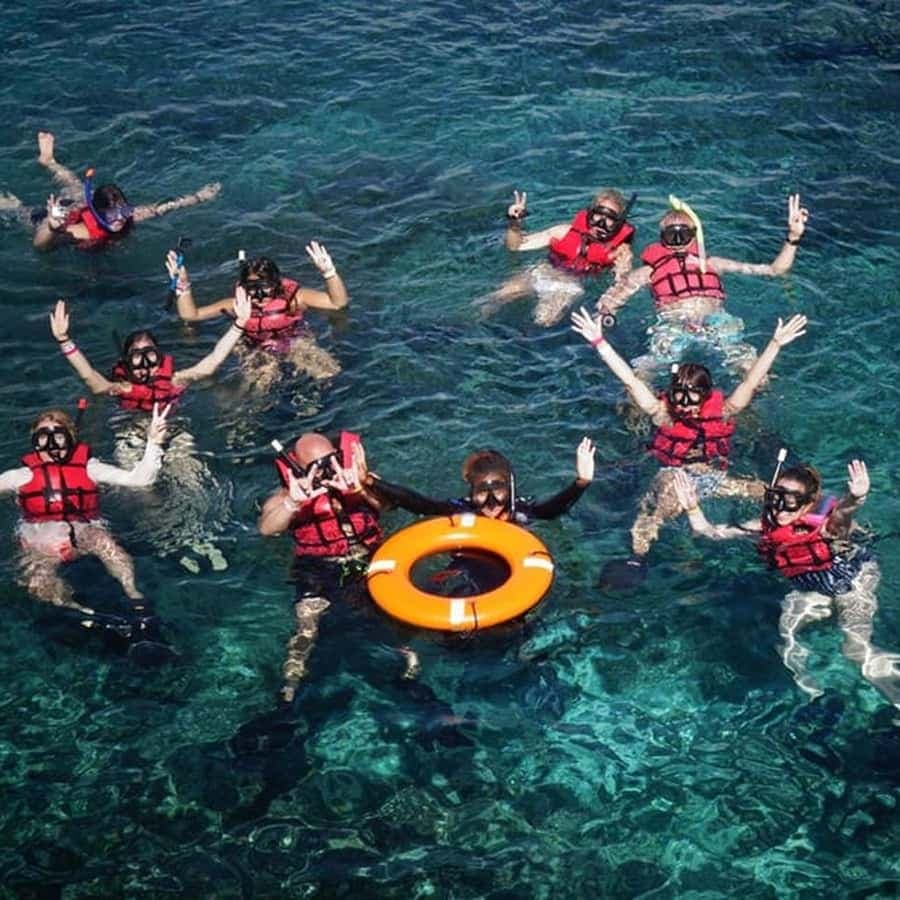 Punta Cana: Catalina Island Scuba Diving Day Trip